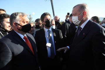 Son dakika haber: Cumhurbaşkanı Erdoğan, 81 ile 81 millet ormanı kurulacağı müjdesini verdi