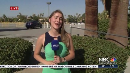 Confirmation That New State Of the Art Arena Is Coming to Downtown Palm Springs