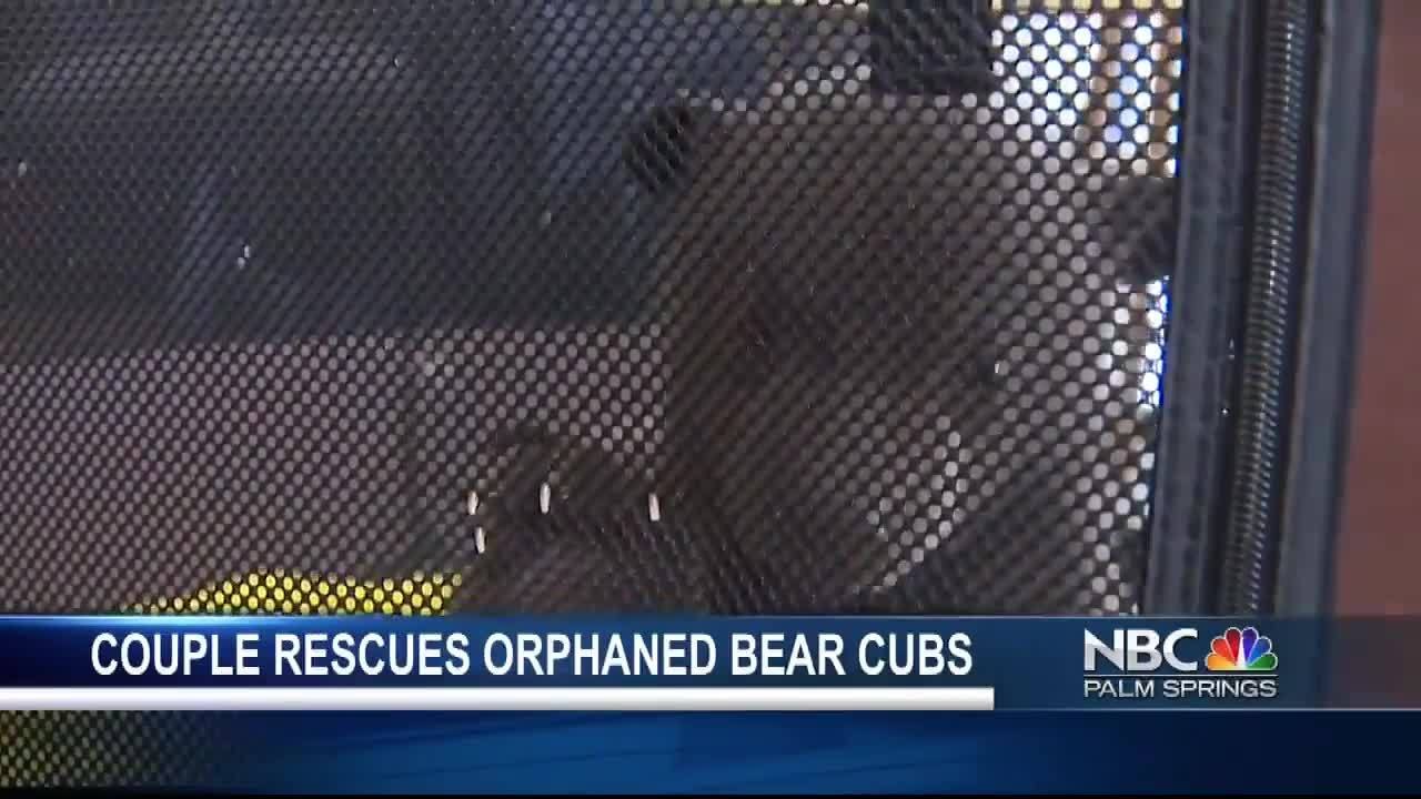 Bear kicker