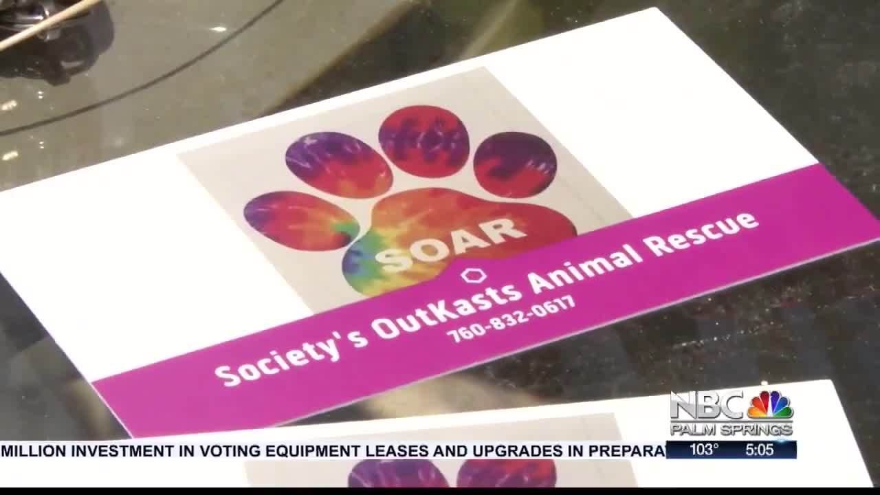 ANIMAL ADVOCATES RALLY AFTER PUPPY DUMPER PLEADS ‘NOT GUILTY’