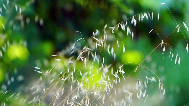 Powerfull Mediation For Deep Sleep ☆ Mindfulness Meditation ☆ Meditation For Health And Wellbeing..