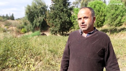 شاهد: جفاف سدّ الدويسات في شمال غرب سوريا لأول مرة منذ إنشائه قبل ثلاثة عقود