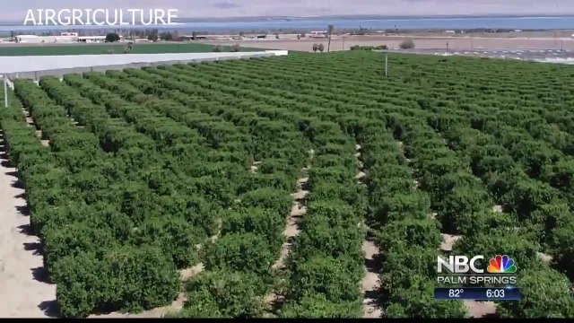 Drone Devices Help Farmers