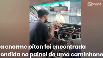 Mecânicos encontram cobra gigante em painel de carro