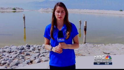 Luzdelia Rattlesnake Standup