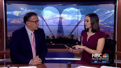 Jellyfish VO banter gino and lauren