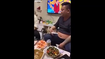 Dos perros feministas protegen a su dueña !