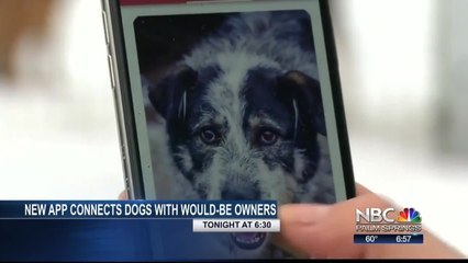 Gino and Lauren Toss to Break