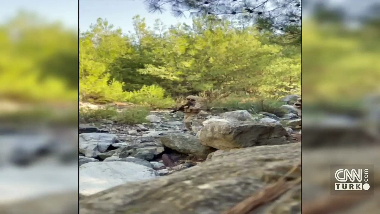 Mehmetçik Amanos'ları karış karış tarıyor