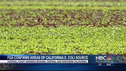 Lettuce E. Coli Outbreak continues
