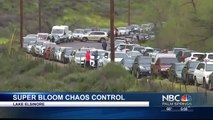 City Under Super Bloom Siege Creates Rules