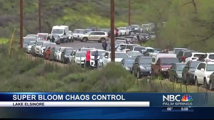 City Under Super Bloom Siege Creates Rules