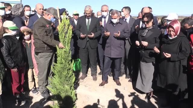 Yanan ormanlık alanlar Milli Ağaçlandırma Günü'nde fidanla buluşturuldu