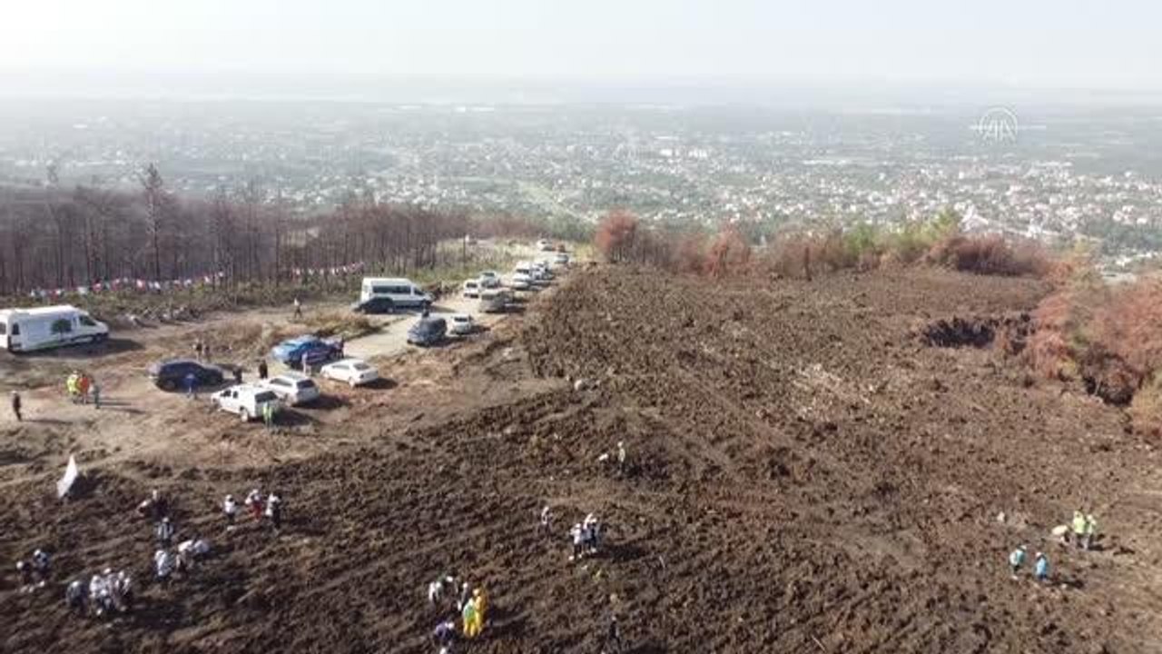 "Milli Ağaçlandırma Günü" kapsamında fidan dikildi