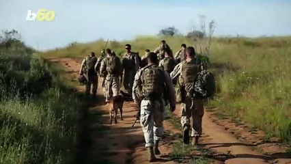 What To Say Instead of “Happy Veterans Day”