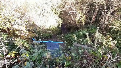 Sunderland Echo News - Pollution clean-up following diesel spill