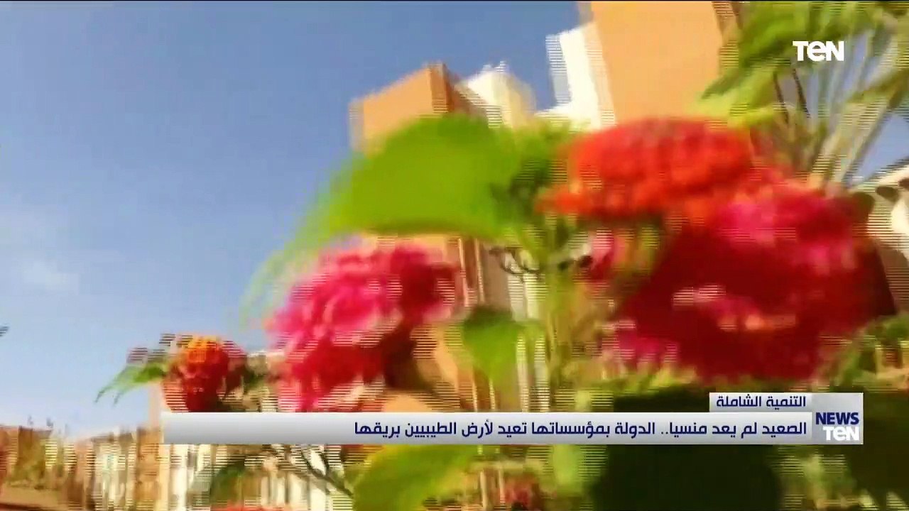 الصعيد لم يعد منسيا.. الدولة بمؤسساتها تعيد لأرض الطيبيين بريقها