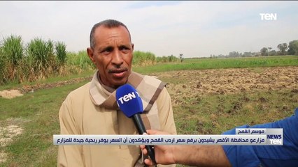 مزارعو محافظة الأقصر يشيدون برفع سعر أردب القمح ويؤكدون أن السعر يوفر ربحية جيدة للمزارع