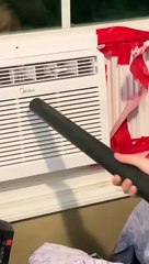 Stink Bugs Infest Air Conditioner