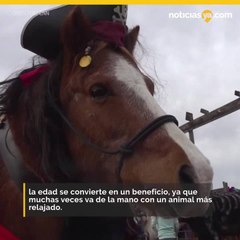 concurso de caballos halloween