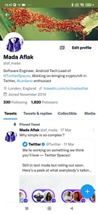 Twitter - Perfis com suporte a NFTs