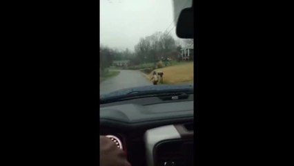 Dad punishes kid for being a bully by making him run to school