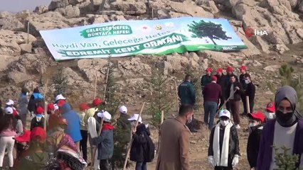 Van Valisi Mehmet Emin Bilmez: "Kargaların ektiği ceviz ağaçları dışında ormanlık alanlarımız nerdeyse yok denecek kadar az"