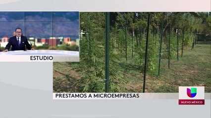 Noticias Nuevo Mexico 5pm 101521
