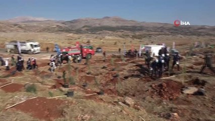 Adıyaman'da 120 bin fidan toprakla buluşturuldu