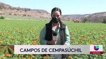 Noticias San Diego 6pm 101221 - Clip CEMPAZUCHITL