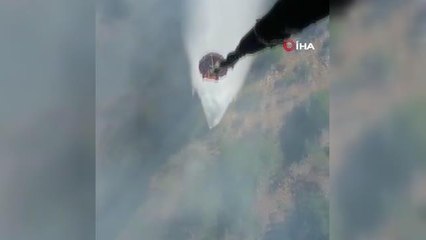 Son dakika haber! Manavgat'ta yanan orman arazilerine fidan dikilirken, başka bir bölgede çıkan yangın büyümeden söndürüldü