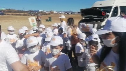 Manavgat'ta yanan orman arazileri fidanla buluştu