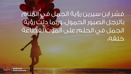 تفسير رؤية الجمل في المنام بالتفصيل