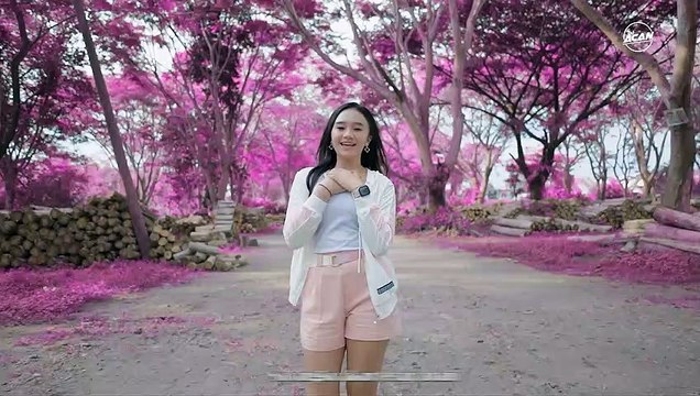 DJ SLOW SATU HATI SAMPAI MATI - DJ ACAN Remix