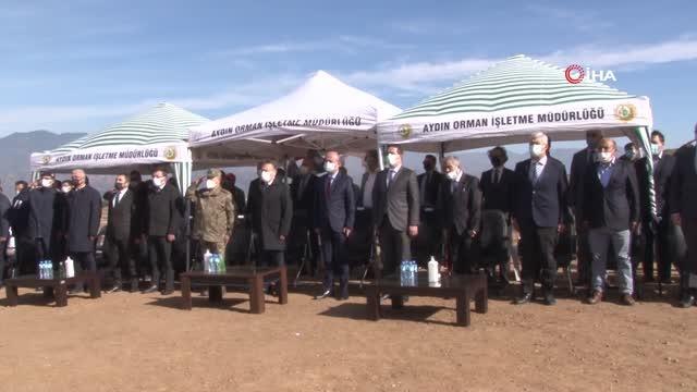 Aydın'da 8 milyon fidan toprakla buluştu