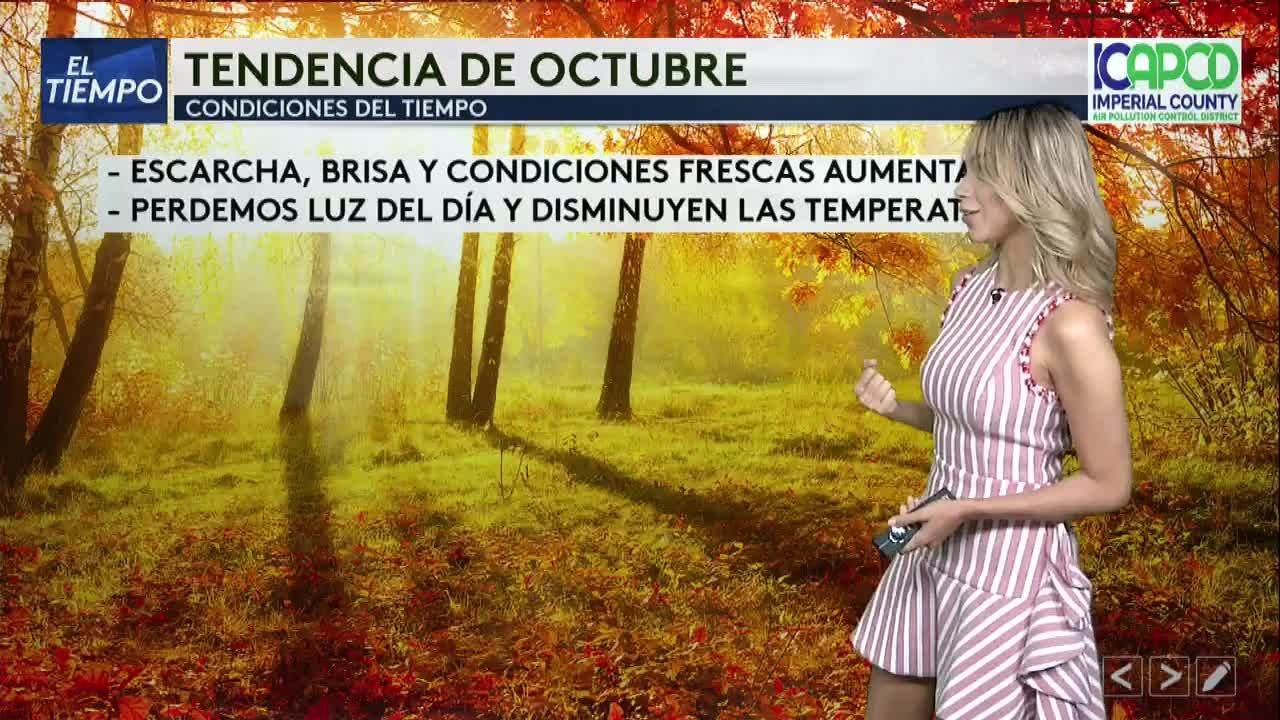 Noticias Noticias El Centro 5pm 100121