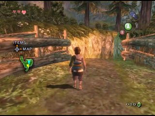 The Legend of Zelda: Twilight Princess online multiplayer - ngc