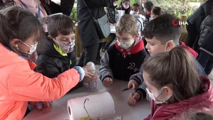 Maymunlara pastalı yaş günü kutlaması