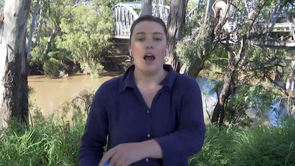 Flood warnings as wet weather continues to soak Queensland