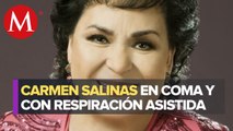 Nieta de Carmen Salinas confirma que la actriz está en coma