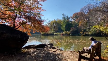 How this year’s weather impacts iconic Central Park fall foliage