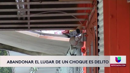 Pérez-Hit and run Tampa