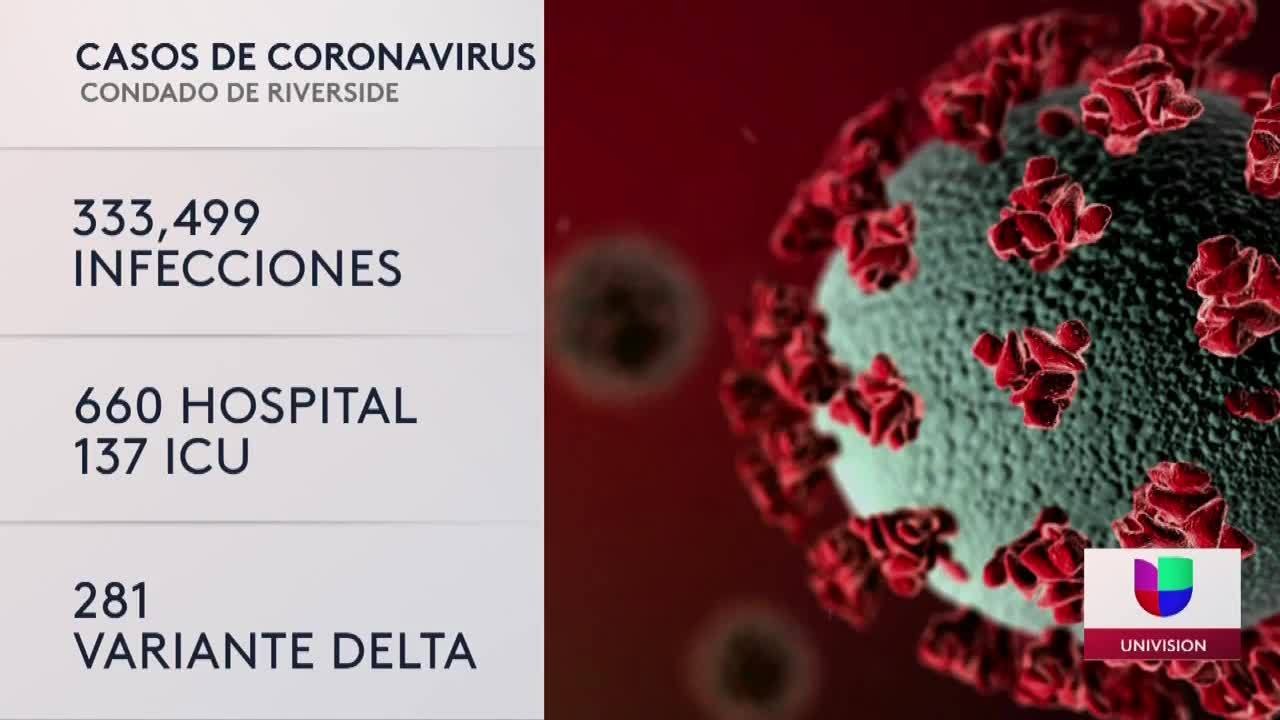 Numeros locales de coronavirus y variante Deslta