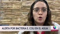 Emiten alerta por bacteria e-coli en el agua de Englewood