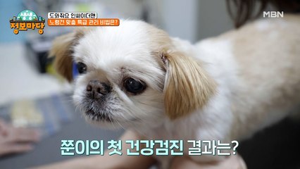 "우리 쭌이 괜찮은가요?" 14살 노령견 쭌이의 건강검진 결과는!?