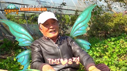 충청도에 TMI요정이 나타났다!