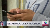 Noticias San Diego 6pm 082021 - Clip CAPO WIFE ON THE RUN