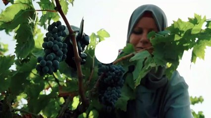 ...وبعد وصوله الى المستشفى ارسل اليه رسالة ...