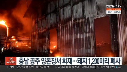 충남 공주 양돈장서 화재…돼지 1,200마리 폐사