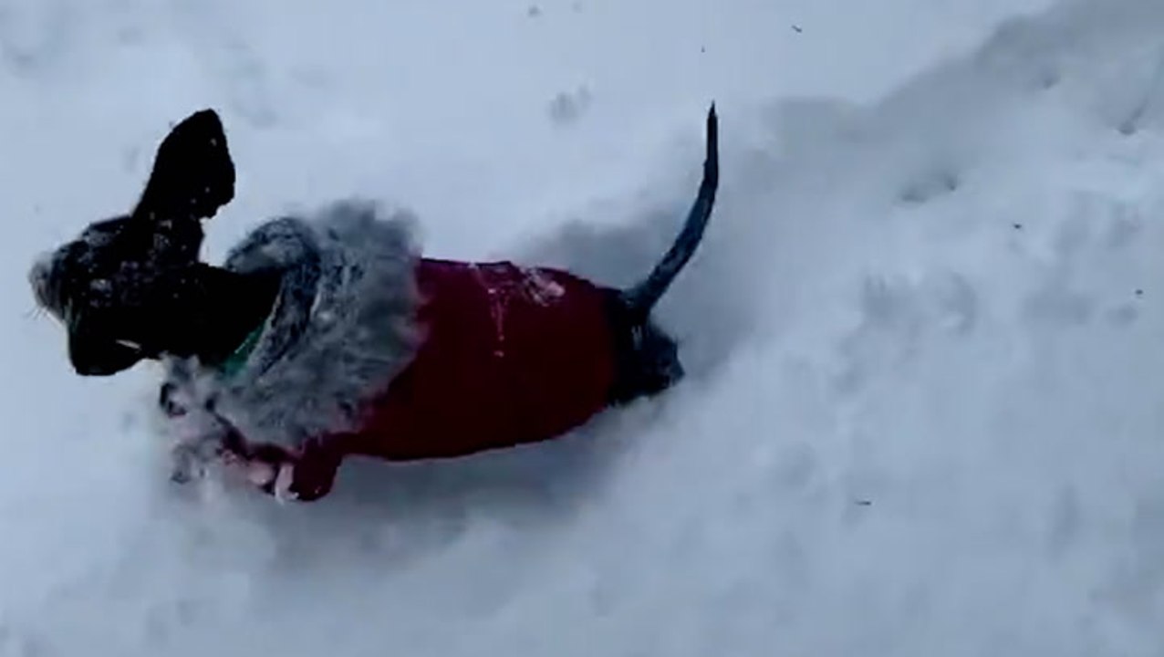 Storm dumps snow across the northern Plains